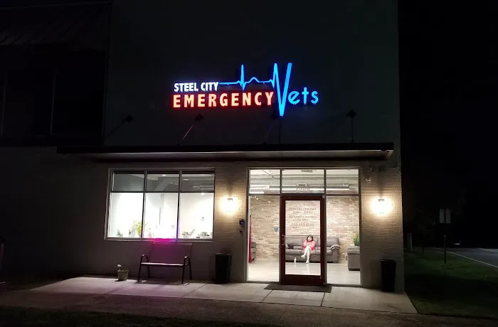 Steel City Emergency Vets 12