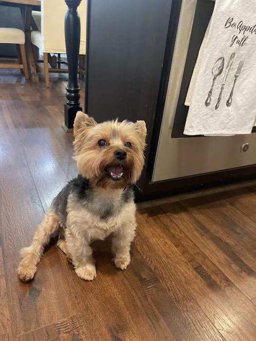 easyvet Veterinarian Liberty Park 12