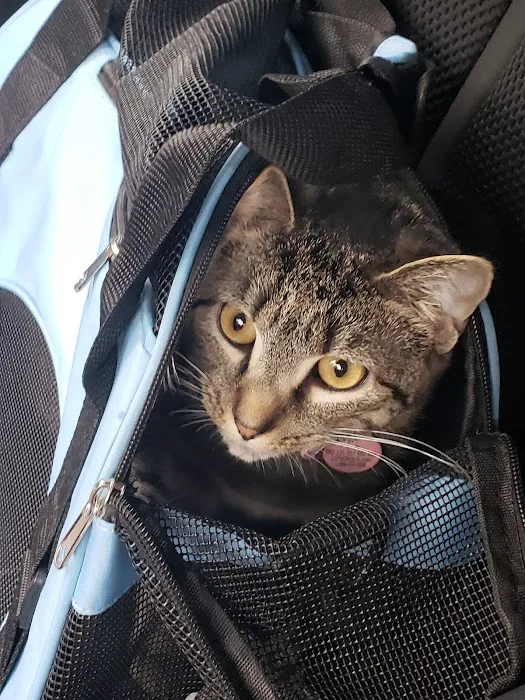 VCA Liberty Animal Hospital 12