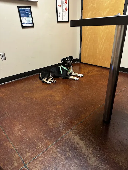 VCA Liberty Animal Hospital 12