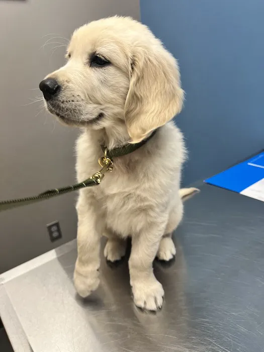 Lake Crest Animal Clinic 10