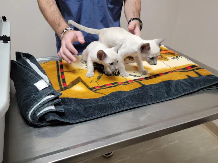 South Shades Crest Animal Clinic 12