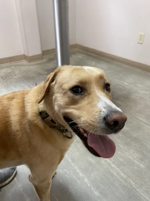 South Shades Crest Animal Clinic 12
