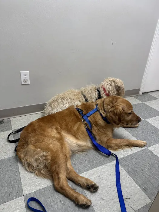 Helena Veterinary Clinic 4