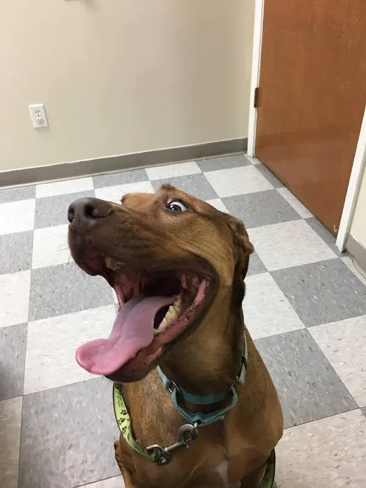 Helena Veterinary Clinic 6