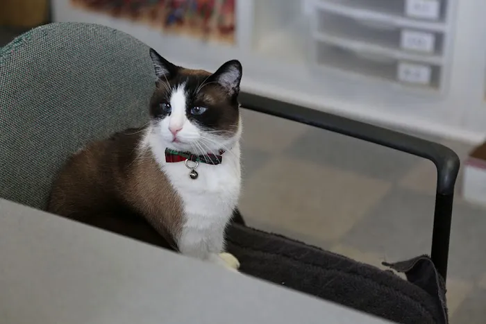 Helena Veterinary Clinic 10