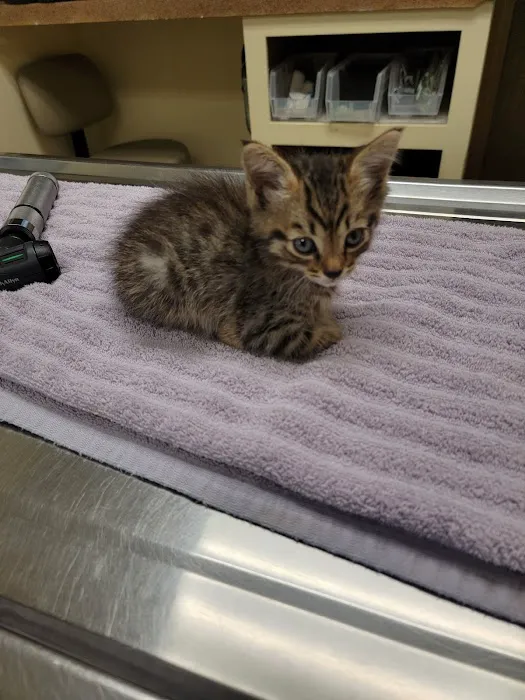 Alabaster Animal Clinic 4
