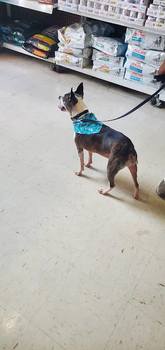 Shelby Animal Clinic 12