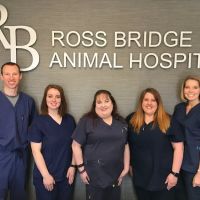 Ross Bridge Animal Hospital ico