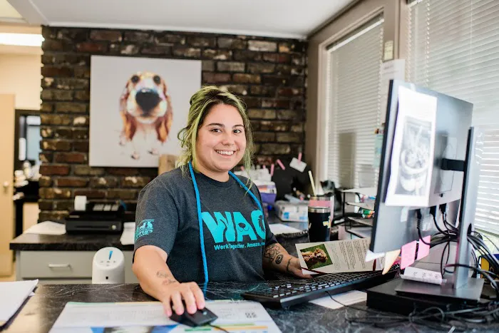 Southern Veterinary Partners 4