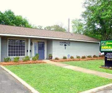 Green Springs Animal Clinic