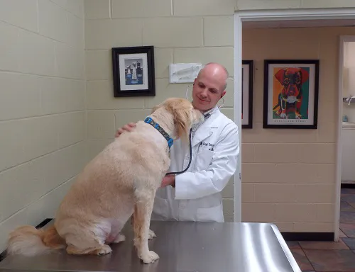 Green Springs Animal Clinic 12