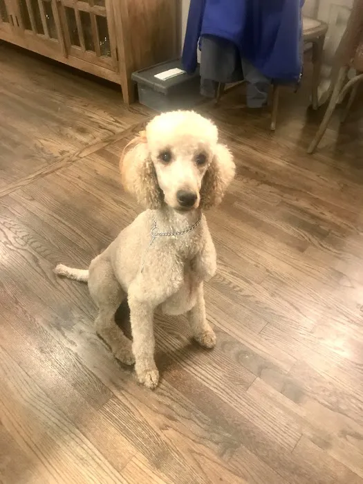 Oxmoor Animal Clinic 6