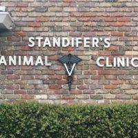 Standifer's Animal Clinic ico