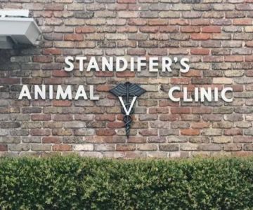 Standifer's Animal Clinic