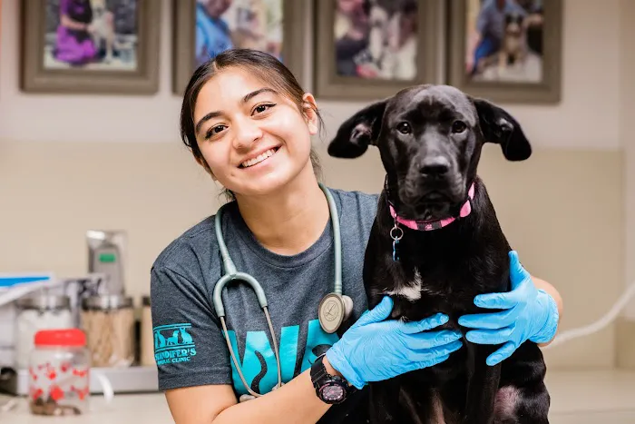 Standifer's Animal Clinic 12