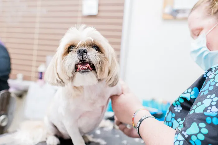 Standifer's Animal Clinic 12