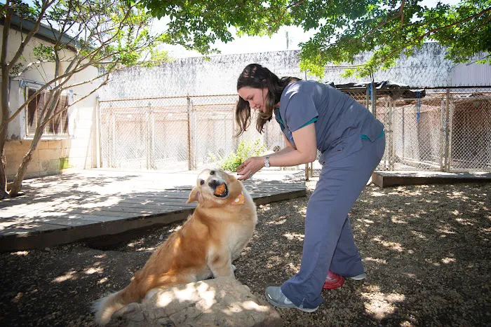 Standifer's Animal Clinic 12