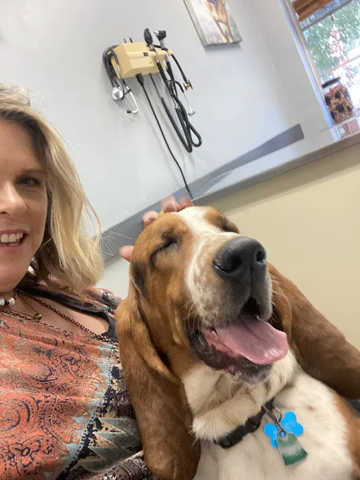 Homewood Animal Hospital 12