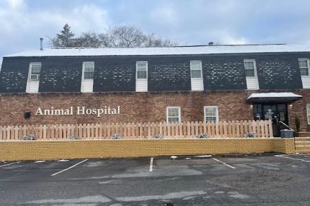 Forest Acres Animal Hospital