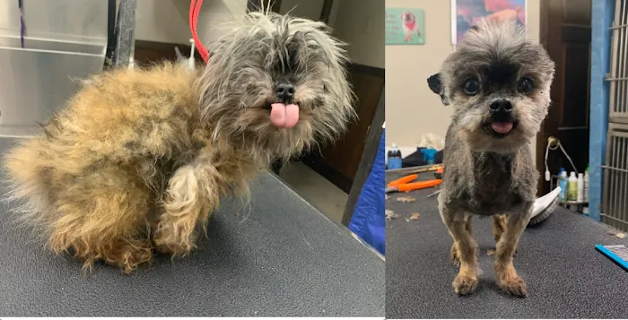 Forest Acres Animal Hospital 12