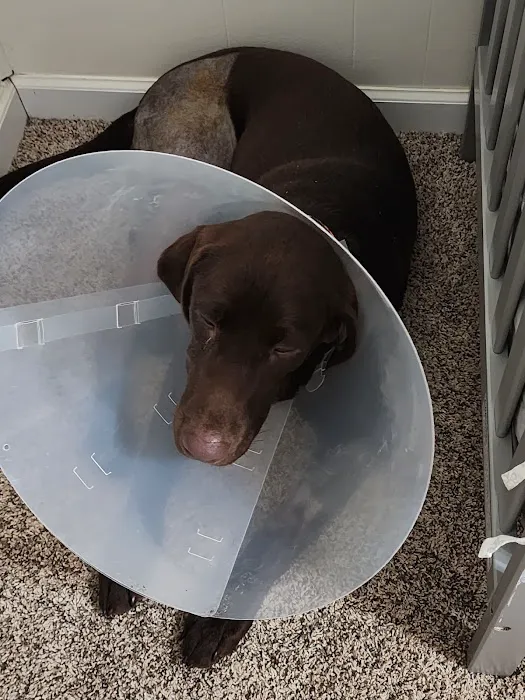 Capital Animal Hospital 1