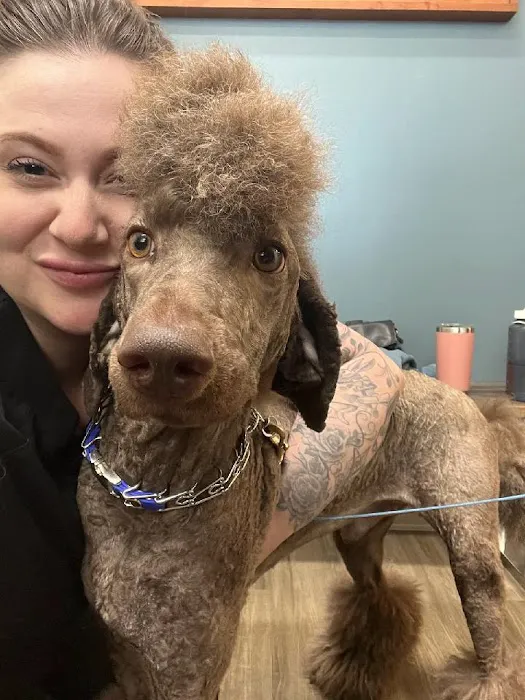 Capital Animal Hospital 3