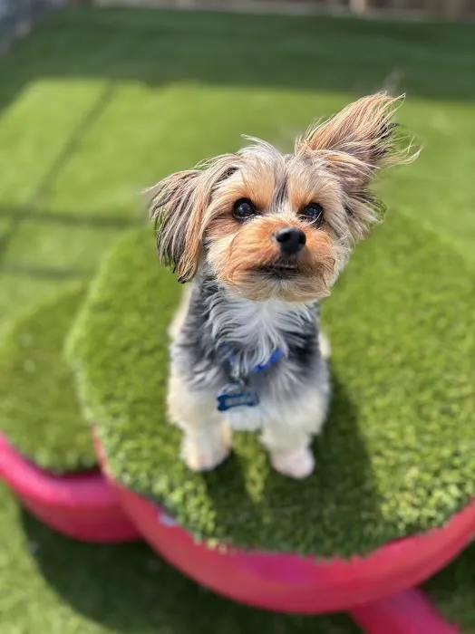 Banfield Pet Hospital 3