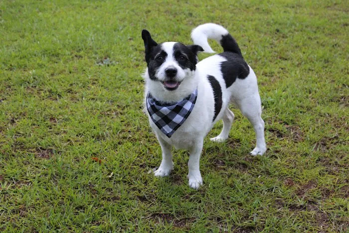 Banfield Pet Hospital 5