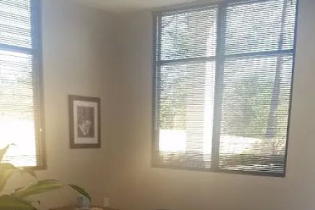 The Cat Clinic