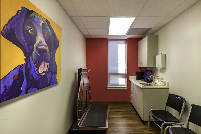 Four Paws Animal Clinic 12