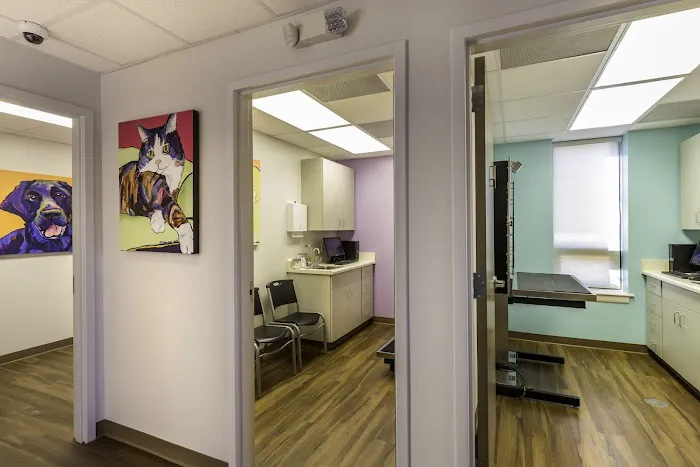 Four Paws Animal Clinic 12