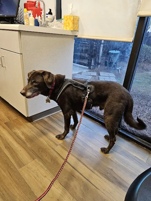 Four Paws Animal Clinic 12