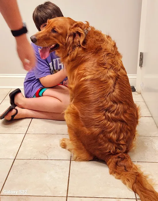 Grace Animal Hospital 6