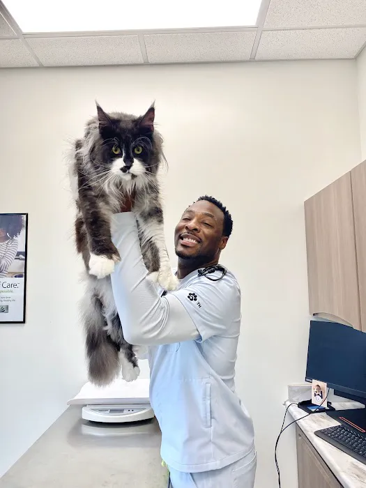 Well Pets Veterinary Clinic 10