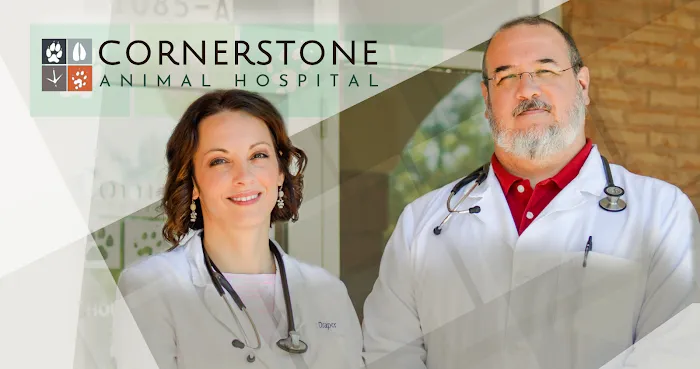 Cornerstone Animal Hospital 2