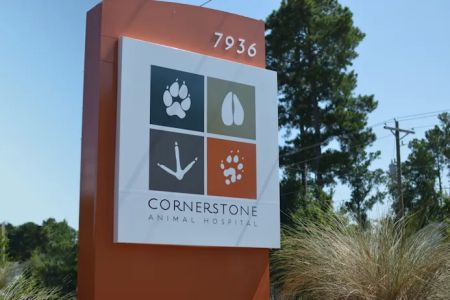 Cornerstone Animal Hospital