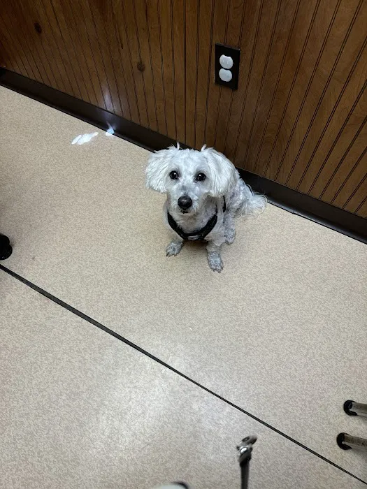 Belle Chasse Veterinary Clinic 2