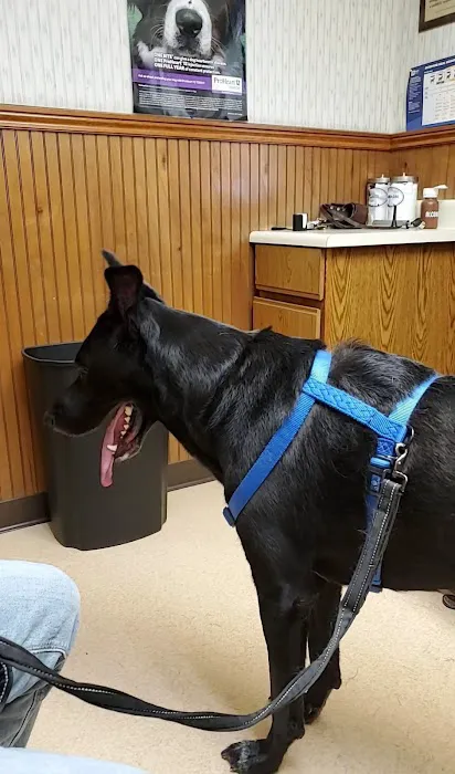 Belle Chasse Veterinary Clinic 8