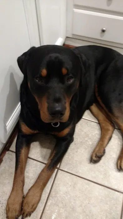 Belle Chasse Veterinary Clinic 10