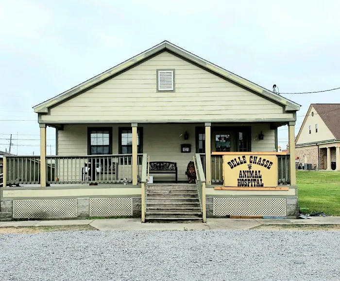 Belle Chasse Animal Hospital, Dr. Stephen Hebert 2
