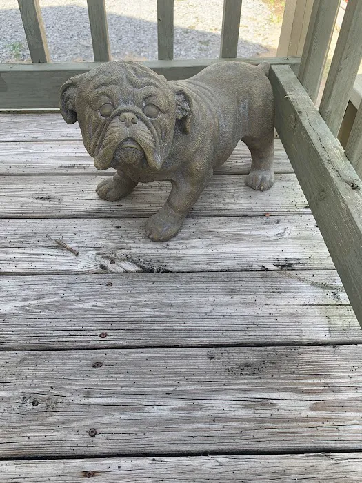 Belle Chasse Animal Hospital, Dr. Stephen Hebert 3