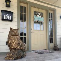 Belle Chasse Animal Hospital, Dr. Stephen Hebert ico
