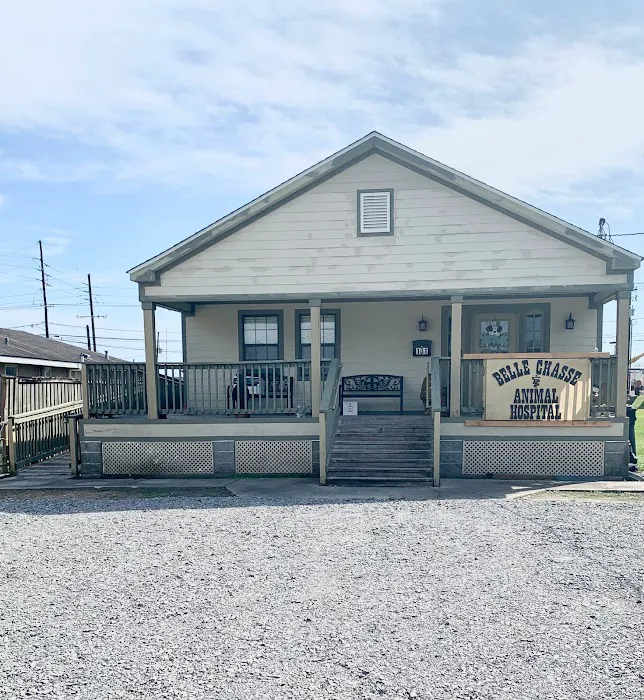 Belle Chasse Animal Hospital, Dr. Stephen Hebert 4