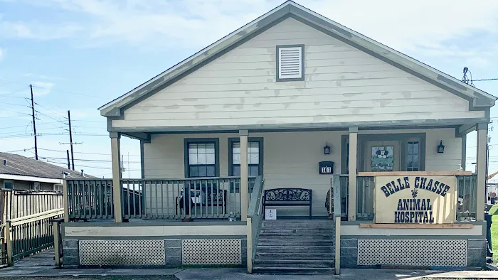 Belle Chasse Animal Hospital, Dr. Stephen Hebert 5