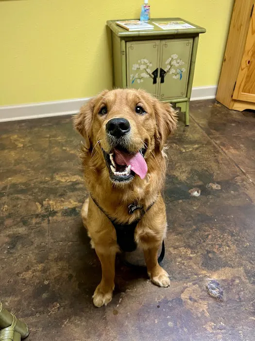 Animal Hospital of Old Metairie 5