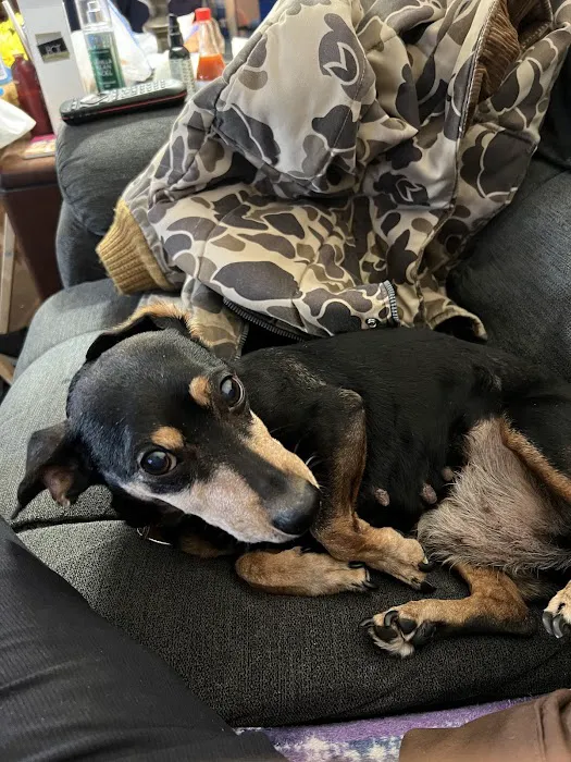 Animal Hospital of Old Metairie 9