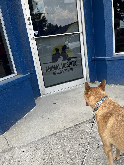 Animal Hospital of Old Metairie 8