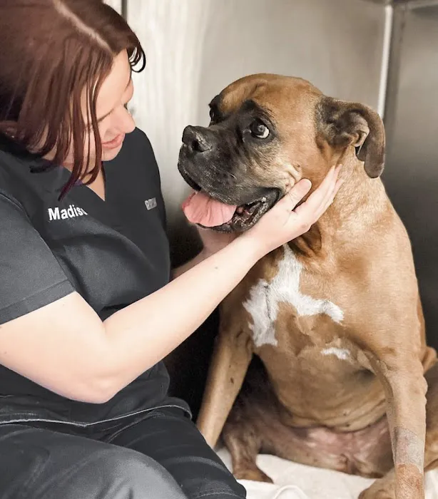 River Road Veterinary Hospital 2