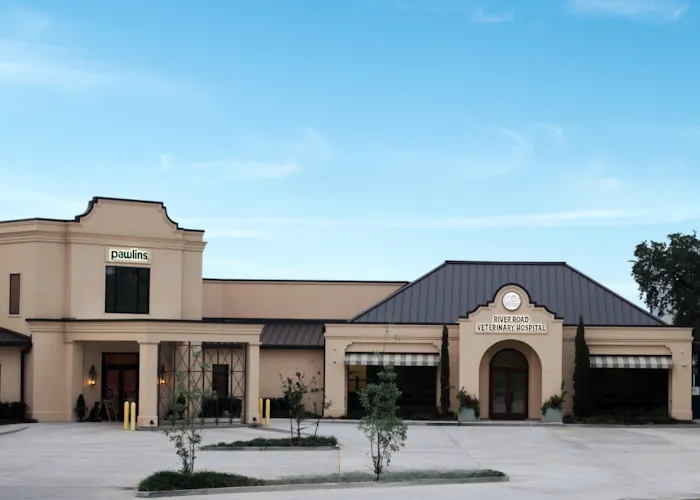 River Road Veterinary Hospital 3